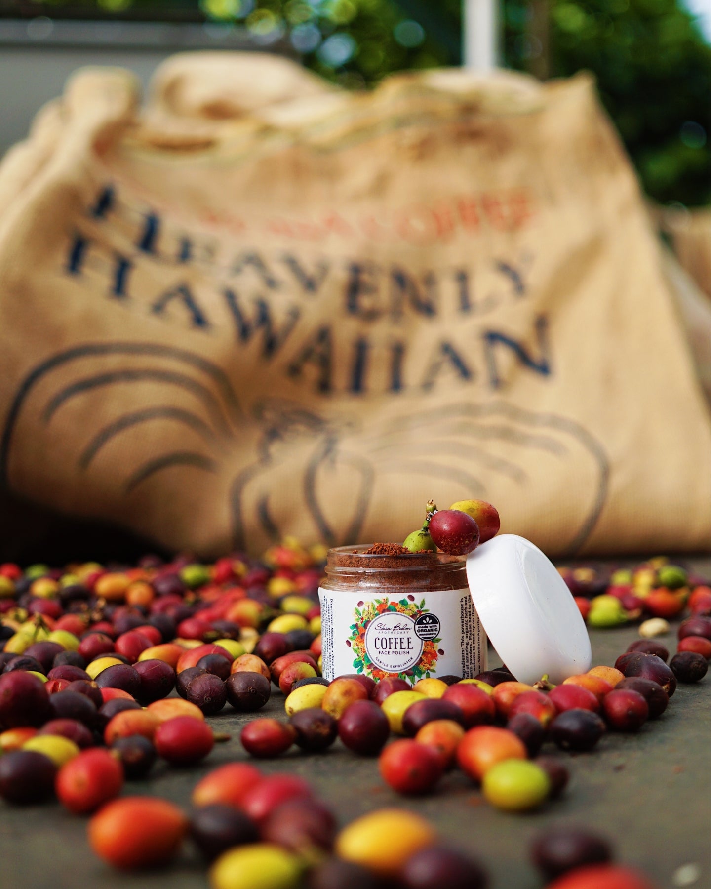 Coffee Face Polish surrounded by coffee cherries with a burlap sack blurred in the background.