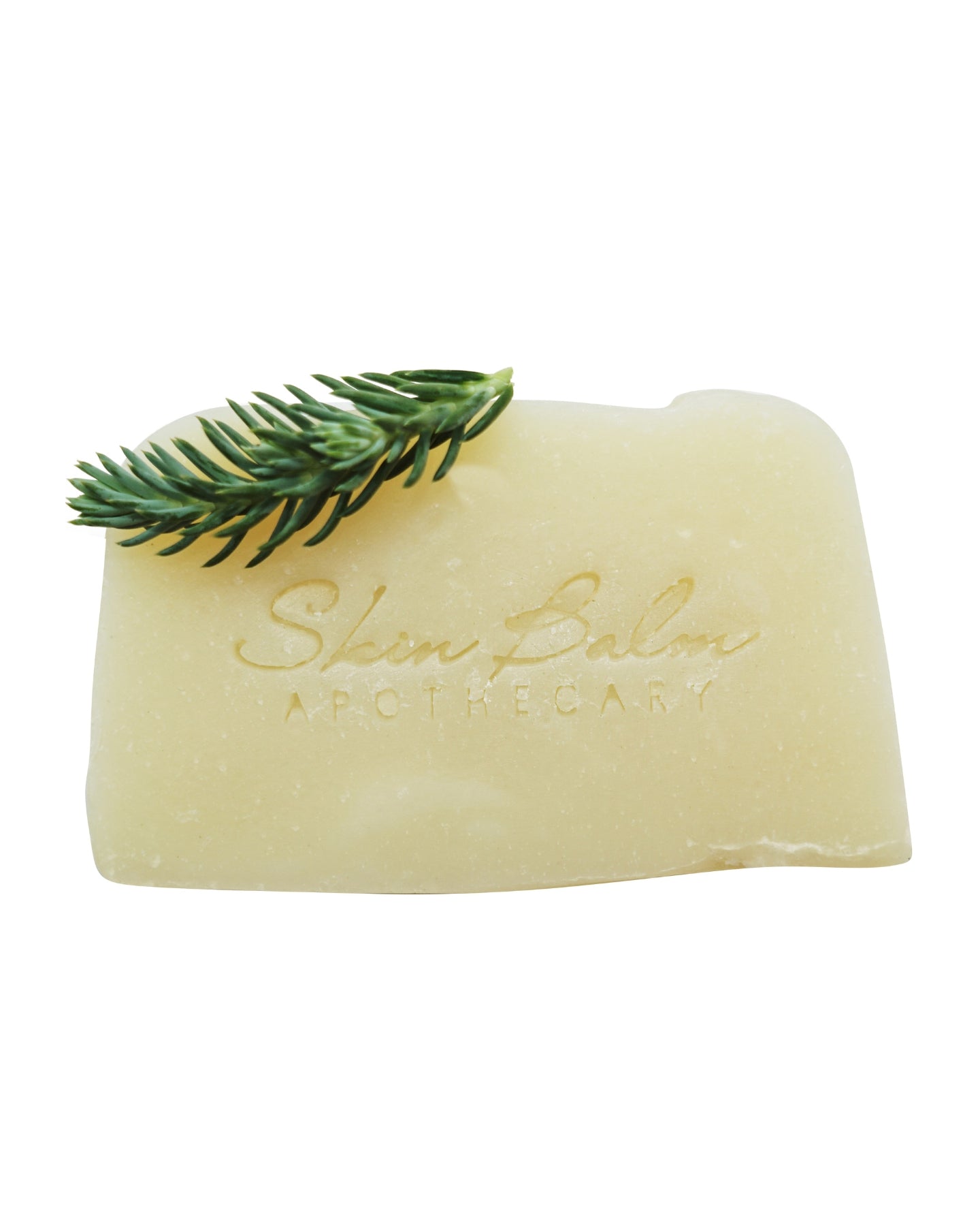 Nourish Shampoo Bar with an evergreen stem against a white background.